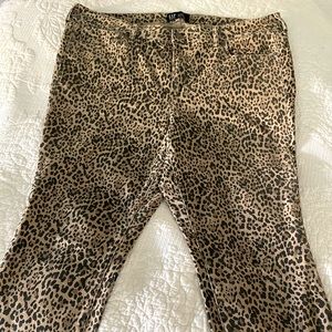 leopard print jeggings from the GAP
